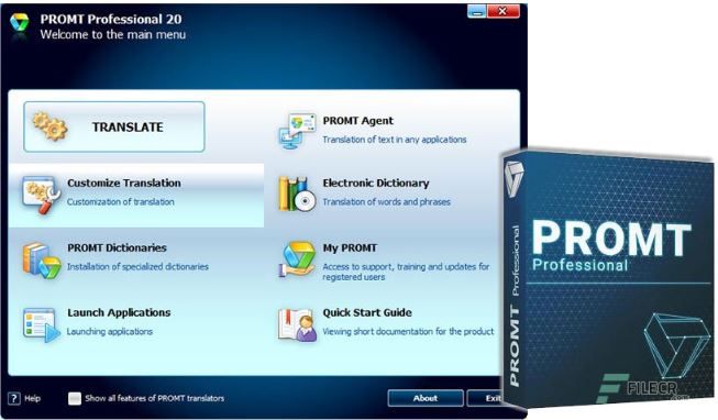 PROMT Professional 20