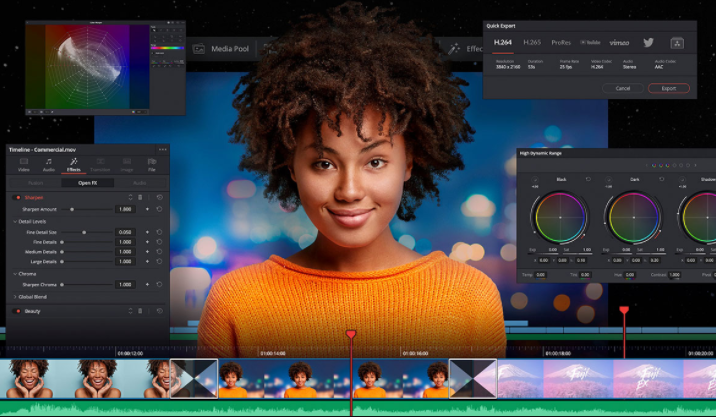 Blackmagic DaVinci Resolve Studio 17