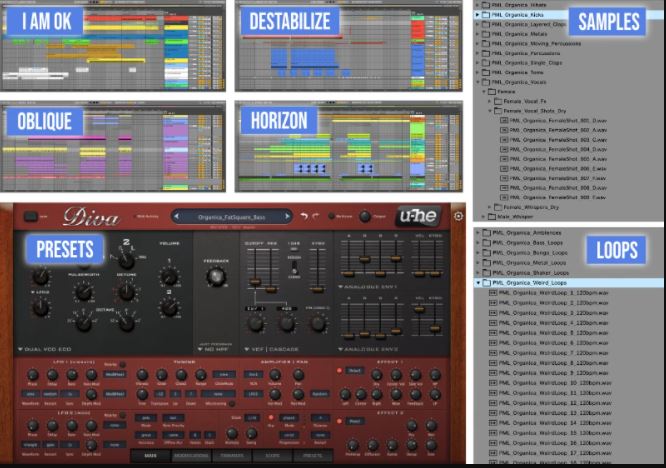 PML Organica – Full Ableton Production Suite