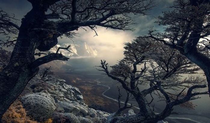 Max Rive Tutorials Bundle 