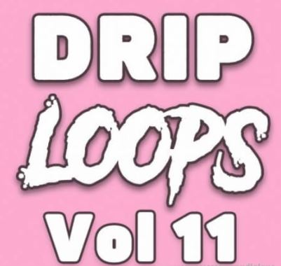 DiyMusicBiz Drip Loops Vol.11 [WAV]