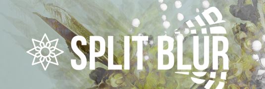 Aescripts Split Blur v1.0.2 for After Effects