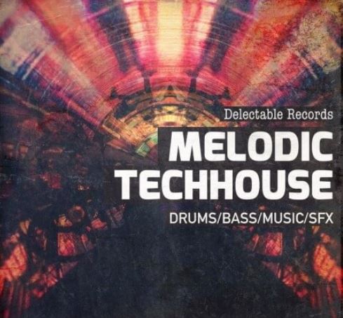 Delectable Records Melodic TechHouse 01 [MULTiFORMAT]