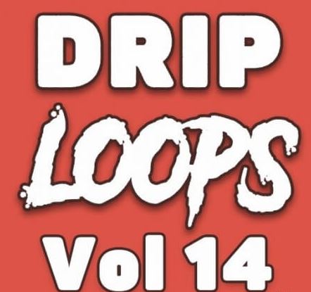 DiyMusicBiz Drip Loops Vol.14 [WAV]