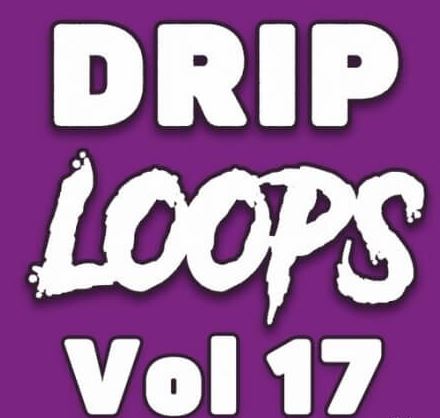 DiyMusicBiz Drip Loops Vol.17 [WAV]