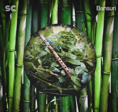 Sonic Collective Bansuri [WAV]