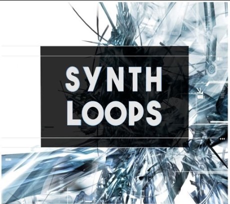 BFractal Music Synth Loops [WAV] (Premium)