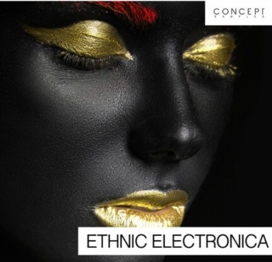 Concept Samples Ethnic Electronica