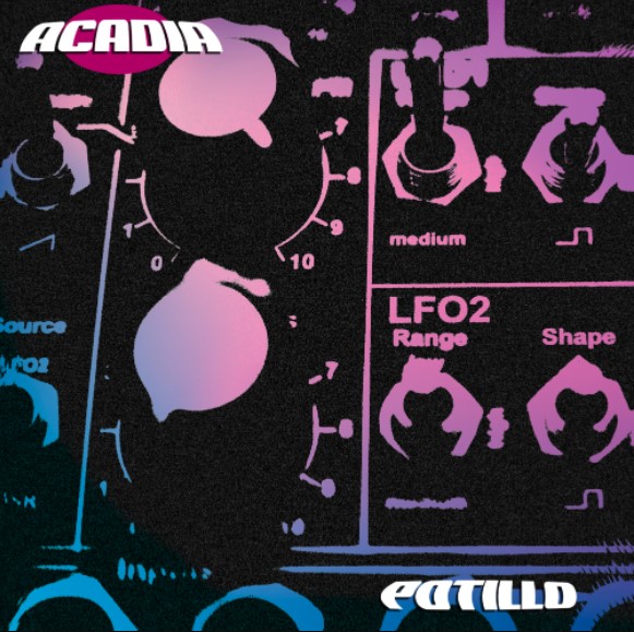 Potillo Acadia Library Analog Lab Bank [Synth Presets]