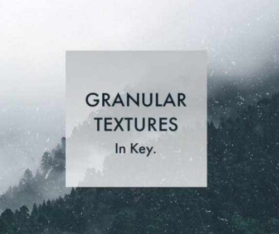 Whitenoise Records Granular Textures In Key