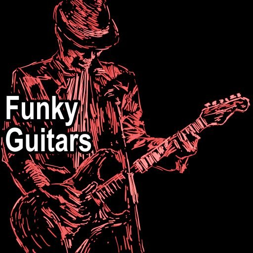 AudioFriend Funky Guitars [WAV]