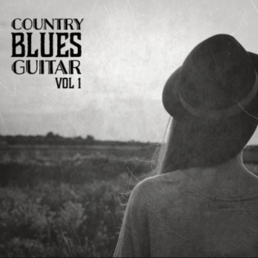 New Beard Media Country Blue Guitars Vol.1 [WAV]