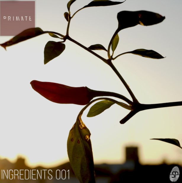 SmallPrint Ingredients 001 Primate [WAV]