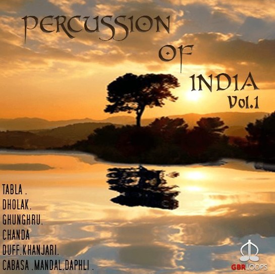 GBR Percussion Percussion Of India Vol.1 [WAV, REX, KONTAKT]