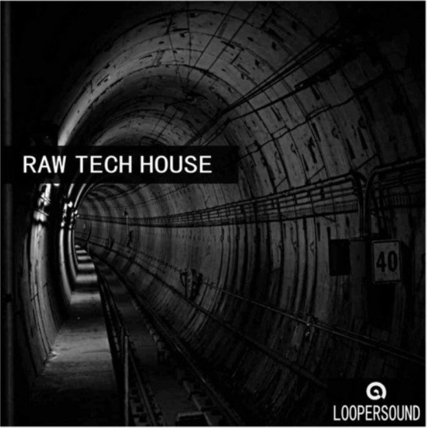 Loopersound Raw Tech House [WAV]