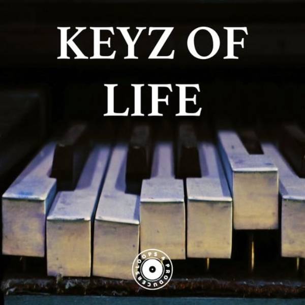 Loops 4 Producers Keyz Of Life [WAV]