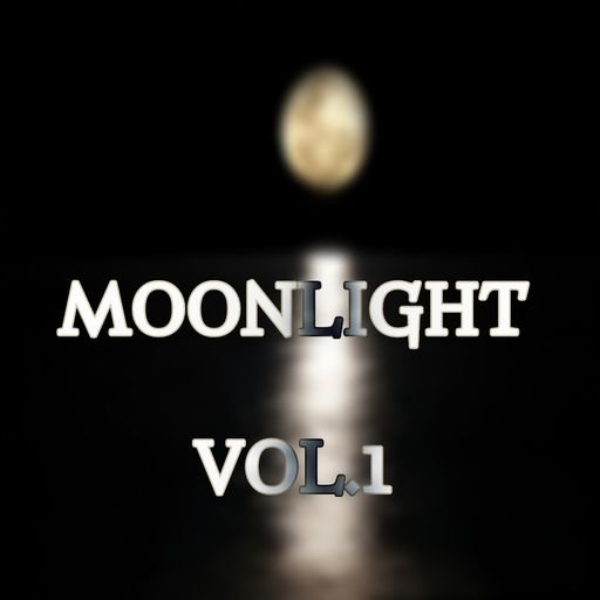 Loops 4 Producers Moonlight Vol.1 [WAV]