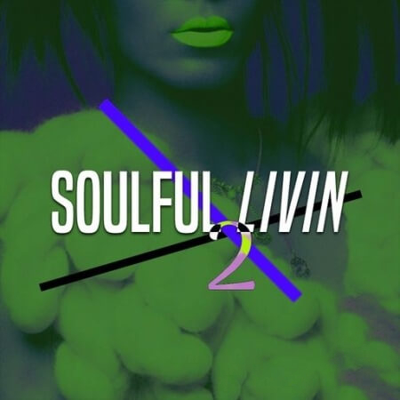 Loops 4 Producers Soulful Livin 2 [WAV]