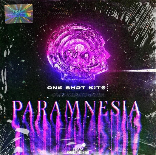 ProducerGrind PARAMNESIA One Shot Kit [WAV]