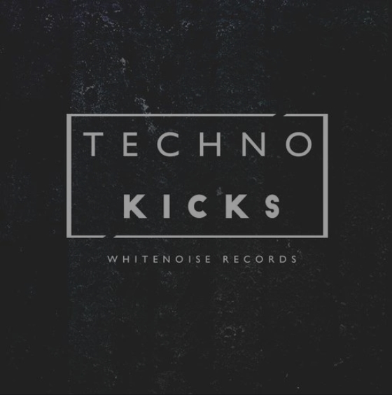 Whitenoise Records Techno Kicks [WAV]