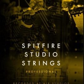 Spitfire Audio Spitfire Studio Strings Professional KONTAKT (premium)