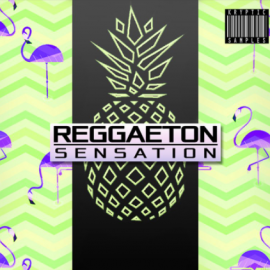 Kryptic Samples Reggaeton Sensation Vol.1 [WAV, MiDi] (Premium)