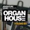 Adventure Music Organ House Vol.1 [WAV] (Premium)