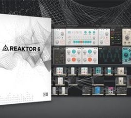 Native Instruments Reaktor 6 v6.4.3 / v6.4.2 [WiN, MacOSX] (Premium)