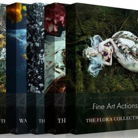 The Fine Art Bundle for Photoshop (Premium)