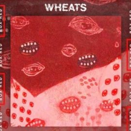 Toolroom Box Red Artist Series Volume 1 Wheats [WAV] (Premium)