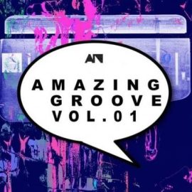 About Noise Amazing Groove Vol.01 [WAV] (Premium)