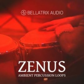 Bellatrix Audio Zenus Ambient Percussion [WAV] (Premium)