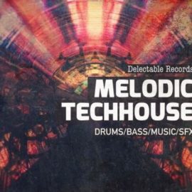 Delectable Records Melodic TechHouse 01 [MULTiFORMAT] (Premium)