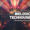 Delectable Records Melodic TechHouse 01 [MULTiFORMAT] (Premium)