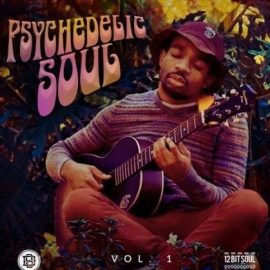 Divided Souls Psychedelic Soul [WAV] (Premium)