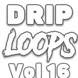 DiyMusicBiz Drip Loops Vol.16 [WAV] (Premium)