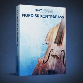 Have Audio Nordisk Kontrabass 2 KONTAKT (premium)