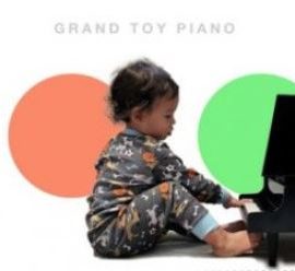 Soniccouture Toy Pianos [KONTAKT] (Premium)