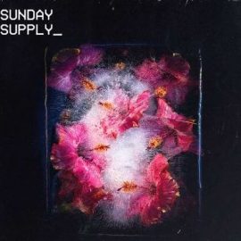 Sunday Supply Frozen Bloom [WAV] (Premium)