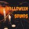 Whitenoise Records Halloween Sounds [WAV] (Premium)