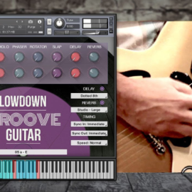 In Session Audio Lowdown Groove Guitar and Direct [MULTiFORMAT] (Premium)