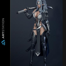 ARTSTATION – DARK ELF BLADER – GAME READY (premium)