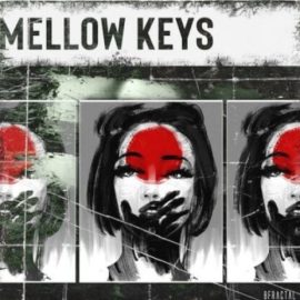 BFractal Music Mellow Keys [WAV] (Premium)