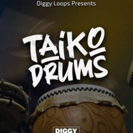 Big Citi Loops Taiko Drums [WAV] (Premium)