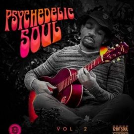 Divided Souls Psychedelic Soul Vol.2 [WAV] (Premium)