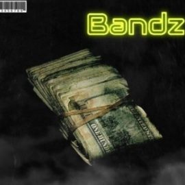 Dynasty Loops Bandz [WAV] (Premium)