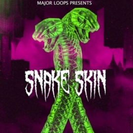 Major Loops Snake Skin [WAV] (Premium)