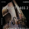 Ueberschall Upright Bass 2 [Elastik] (Premium)