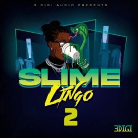 3Digi Audio Slime Lingo 2 [WAV] (Premium)