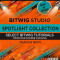 Ask Video Bitwig Studio 100 Bitwig Spotlight Collection [TUTORiAL]  (Premium)